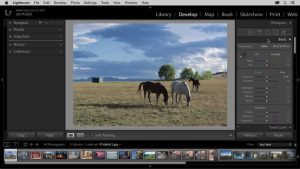 Adobe Lightroom Classic for pc SteamUnderground