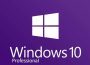 Windows 10 Professional 2024 Free Download SteamUnderground