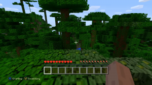 Minecraft Screenshots SteamUnderground