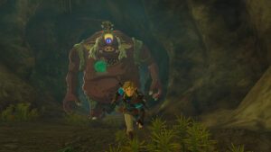 The Legend of Zelda Tears of the Kingdom Screenshots SteamUnderground