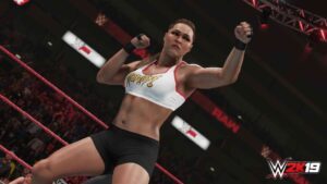 WWE 2K19 SteamUnderground