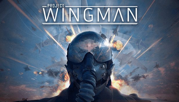 Project Wingman Pre-Installed SteamUnderground