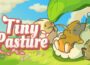 Tiny Pasture Pre-Installed SteamUnderground