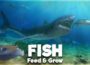 Feed and Grow Fish Pre-Installed SteamUnderground