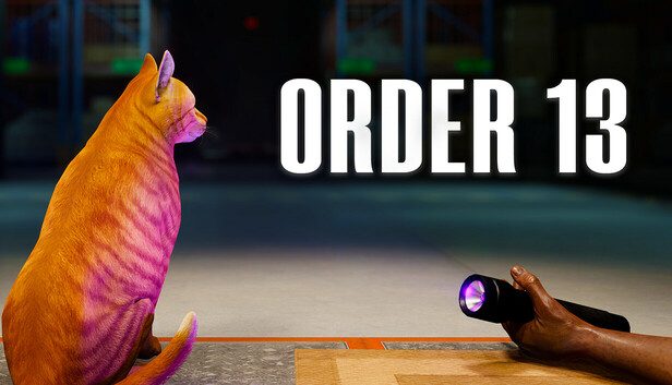 ORDER 13 Pre-Installed SteamUnderground