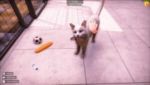 Animal Shelter 2 Steamunlocked