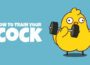 How to Train Your Cock Pre-Installed SteamUnderground