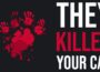 They Killed Your Cat Game